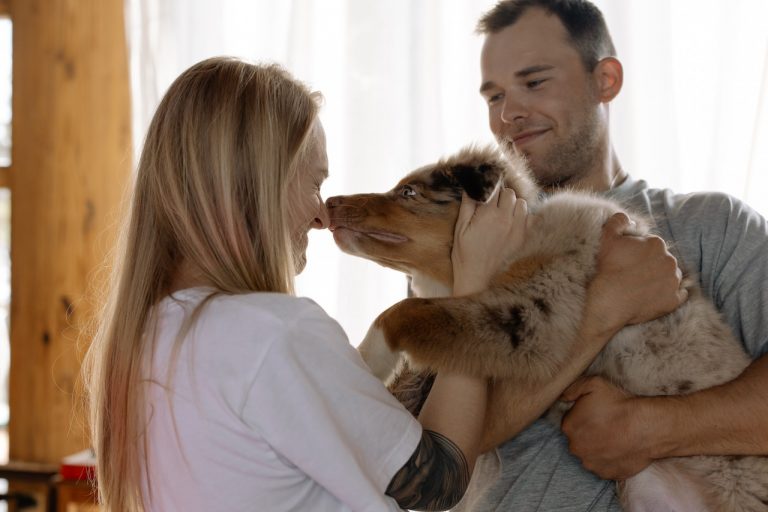 darfor-ar-det-viktigt-att-ha-en-hundforsakring-75252.jpg